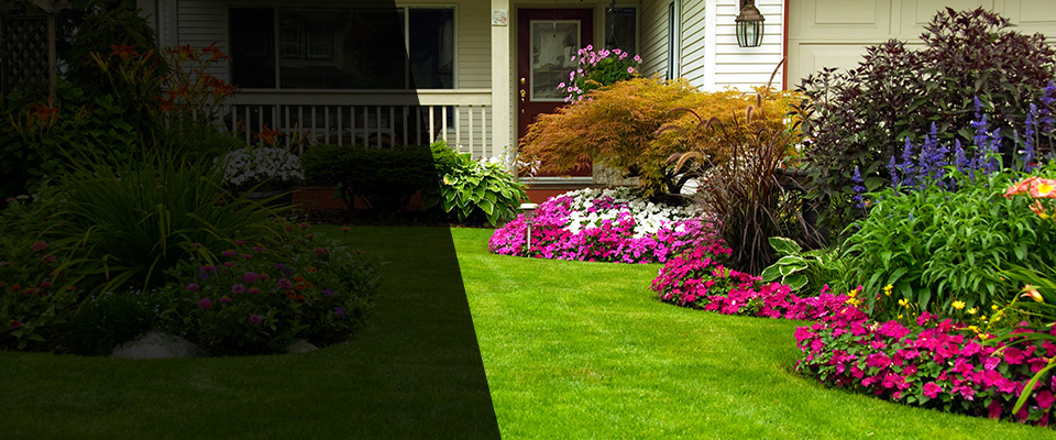 Vincent Landscapers