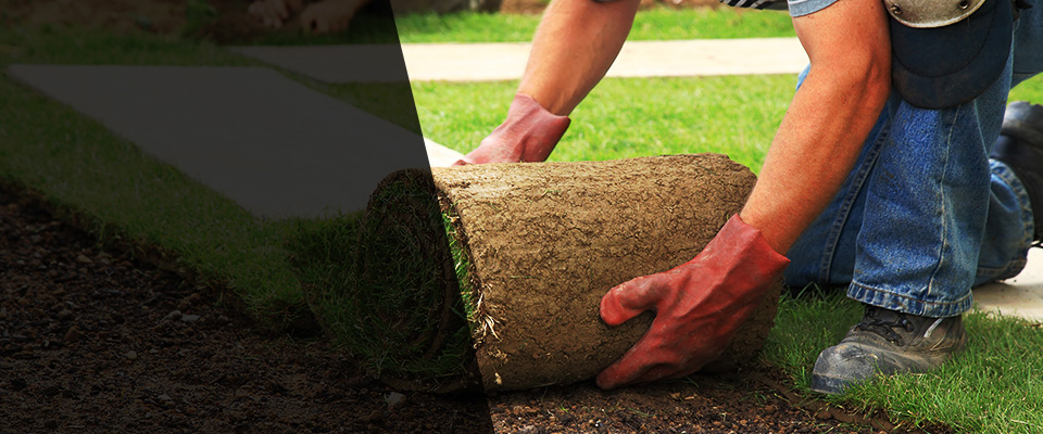 Vincent Landscapers