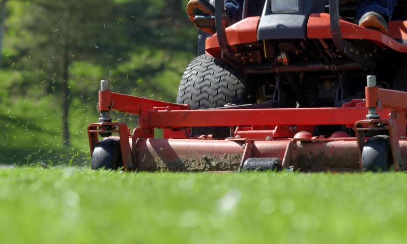 Hedge Trimming